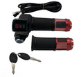 12V-84V Electric Bike Throttle